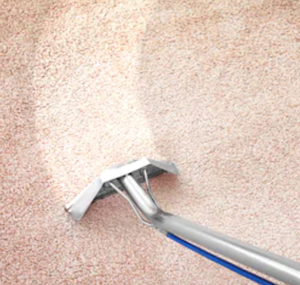 why choose us for carpet cleaning